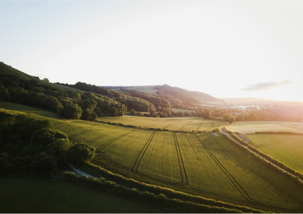 Image of UK countryside with fields and trees