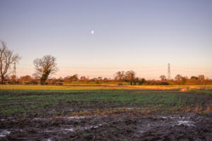 Bellmoor